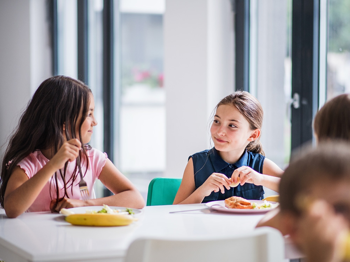 Catering para comedores escolares