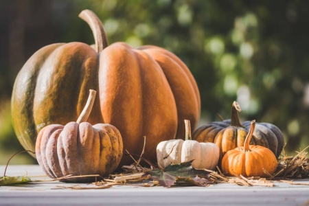 Alimentos de temporada otoño